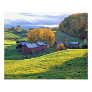 USA, Vermont, Jenne Farm. Rolling green hills Photo Print
