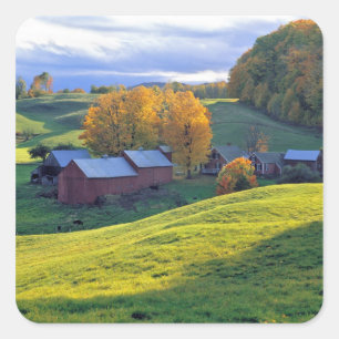 USA, Vermont, Jenne Farm. Rolling green hills Square Sticker