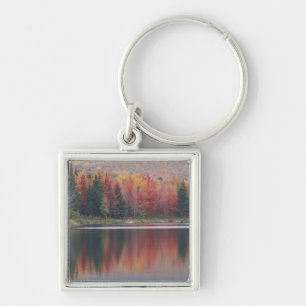 USA, Vermont, McAllister Lake, near Hazens Notch Key Ring