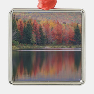 USA, Vermont, McAllister Lake, near Hazens Notch Metal Tree Decoration