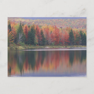USA, Vermont, McAllister Lake, near Hazens Notch Postcard