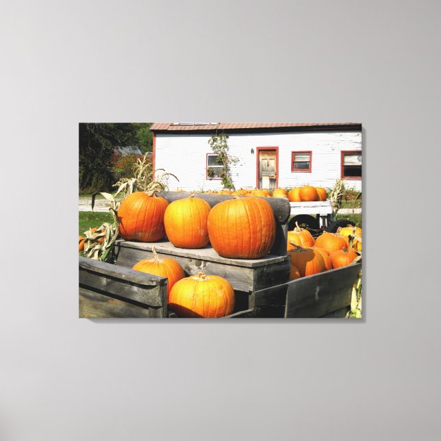 USA, Vermont. Pumpkins Canvas Print (Front)