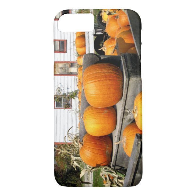 USA, Vermont. Pumpkins Case-Mate iPhone Case (Back)