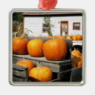 USA, Vermont. Pumpkins Metal Tree Decoration