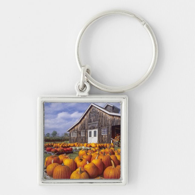 USA, Vermont, Shelbourne, Pumpkins Key Ring (Front)