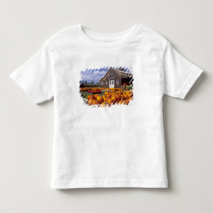 USA, Vermont, Shelbourne, Pumpkins Toddler T-Shirt