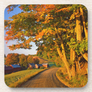 USA, Vermont, South Woodstock Coaster