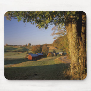 USA, Vermont, south Woodstock, Jenne Farm at Mouse Mat