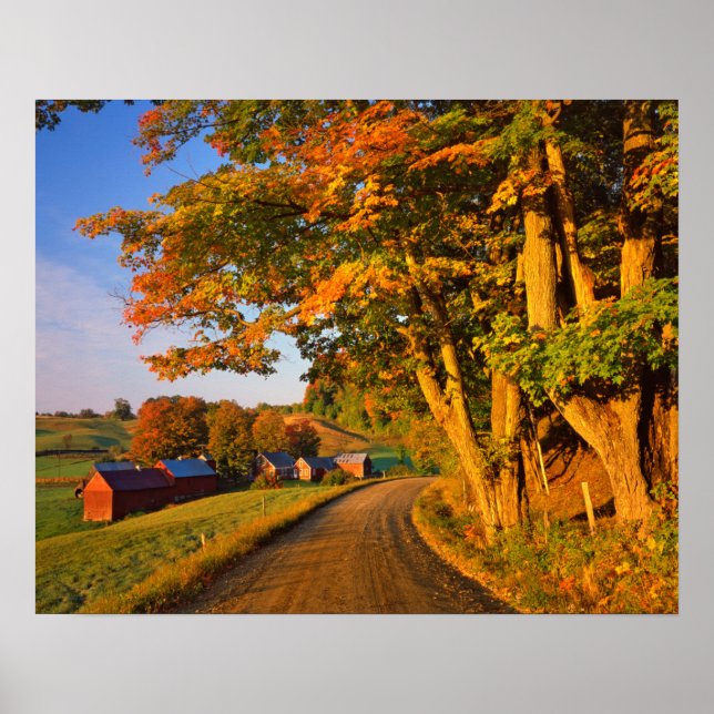 USA, Vermont, South Woodstock Poster (Front)