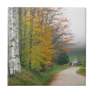 USA, Vermont. Sugar House Near The Town Of South Tile
