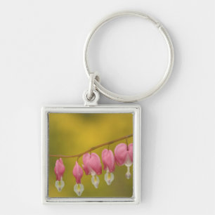USA, Virginia, Arlington, closeup of pink Key Ring