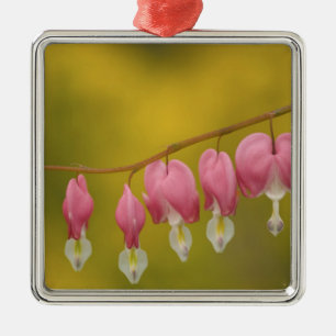 USA, Virginia, Arlington, closeup of pink Metal Tree Decoration