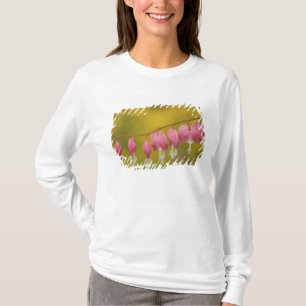 USA, Virginia, Arlington, closeup of pink T-Shirt