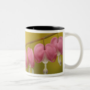 USA, Virginia, Arlington, closeup of pink Two-Tone Coffee Mug