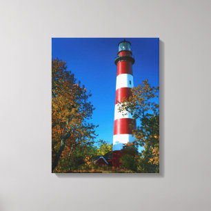 USA, Virginia, Assateague Island, Chincoteague Canvas Print