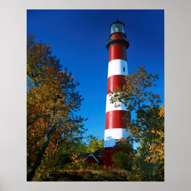 USA, Virginia, Assateague Island, Chincoteague Poster (Front)