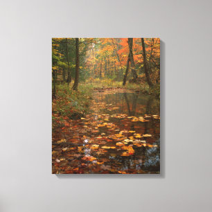 USA, Virginia, Autumn In Douthat State Park Canvas Print