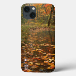 USA, Virginia, Autumn In Douthat State Park iPhone 13 Case