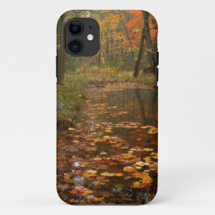 USA, Virginia, Autumn In Douthat State Park iPhone 11 Case