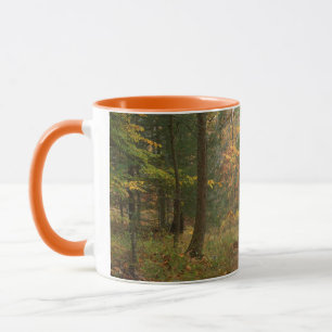 USA, Virginia, Autumn In Douthat State Park Mug