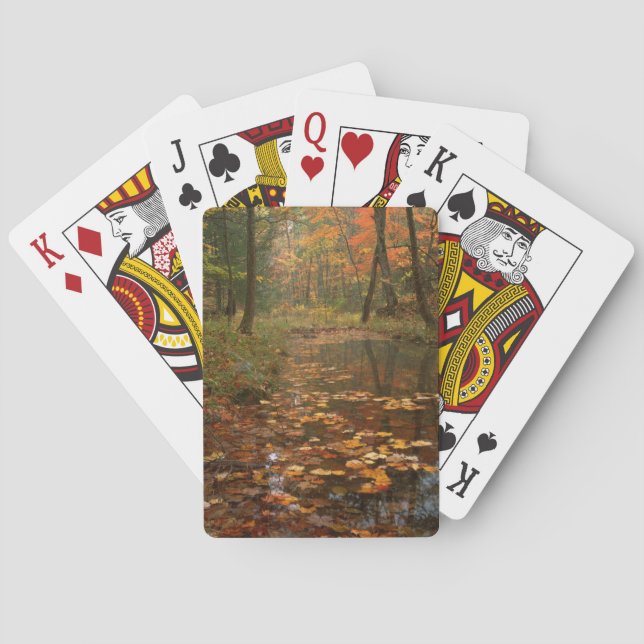 USA, Virginia, Autumn In Douthat State Park Playing Cards (Back)