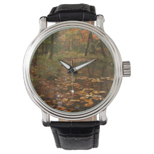 USA, Virginia, Autumn In Douthat State Park Watch