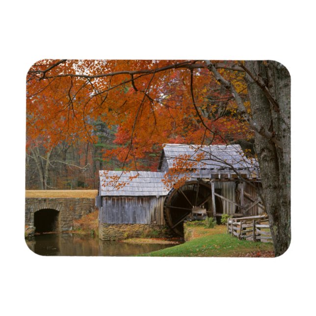 USA, Virginia, Blue Ridge Parkway, Autumn Magnet (Horizontal)