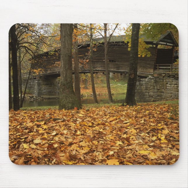 USA, Virginia, Covington, Humpback Covered Mouse Mat (Front)