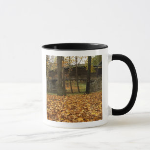 USA, Virginia, Covington, Humpback Covered Mug