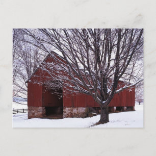 USA, Virginia, Fairfax County, Barn and Maple Postcard
