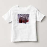 USA, Virginia, Fairfax County, Barn and Maple