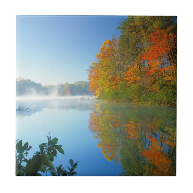 USA, Virginia, Fairy Stone State Park 2 Tile (Front)