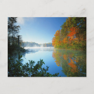 USA, Virginia, Fairy Stone State Park Postcard