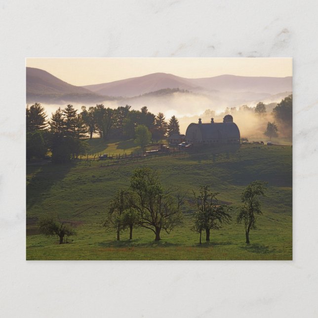 USA, Virginia, Giles County, Farm Postcard (Front)
