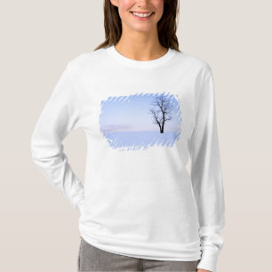 USA, Virginia, Page County, Black Locust T-Shirt