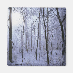USA, Virginia, Richard Thompson Wildlife Area. Magnet