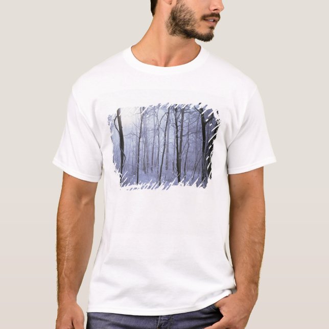 USA, Virginia, Richard Thompson Wildlife Area. T-Shirt (Front)