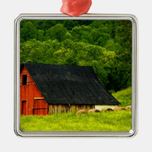 USA, Virginia, Shenandoah National Park, 2 Metal Tree Decoration
