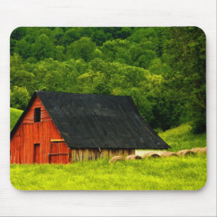 USA, Virginia, Shenandoah National Park, 2 Mouse Mat
