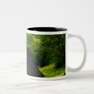 USA, Virginia, Shenandoah National Park, 2 Two-Tone Coffee Mug