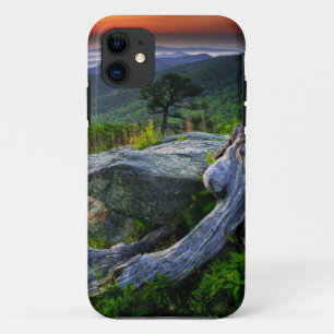 USA, Virginia, Shenandoah National Park. iPhone 11 Case