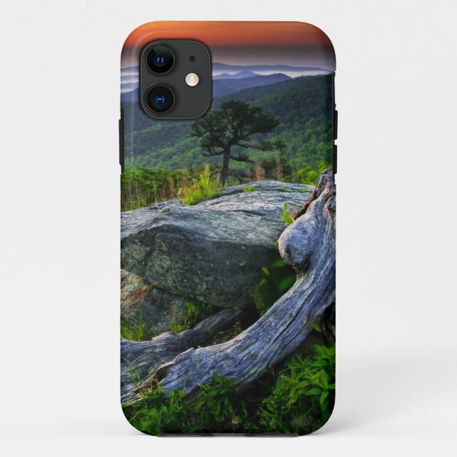 USA, Virginia, Shenandoah National Park. Case-Mate iPhone Case (Back)