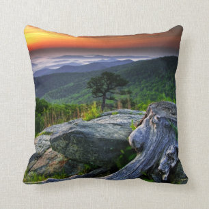 USA, Virginia, Shenandoah National Park. Cushion