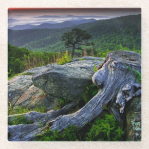 USA, Virginia, Shenandoah National Park Glass Coaster