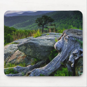 USA, Virginia, Shenandoah National Park. Mouse Mat