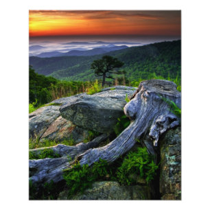 USA, Virginia, Shenandoah National Park. Photo Print