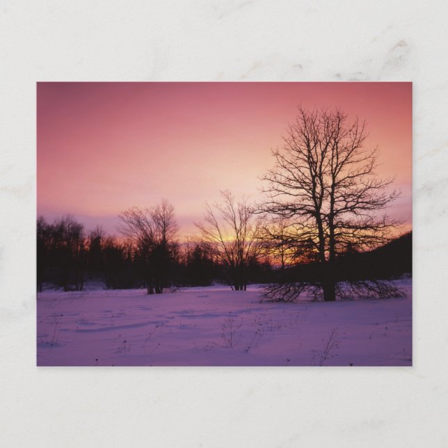 USA, Virginia, Shenandoah National Park, Postcard (Front)