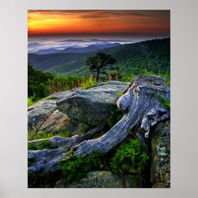 USA, Virginia, Shenandoah National Park. Poster (Front)
