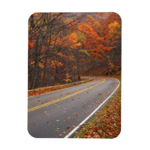 USA, Virginia, Shenandoah National Park, Skyline Magnet