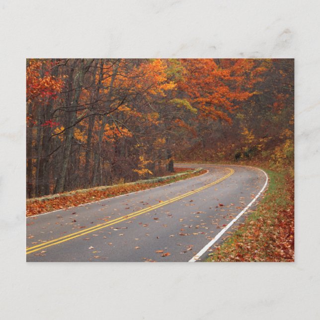 USA, Virginia, Shenandoah National Park, Skyline Postcard (Front)